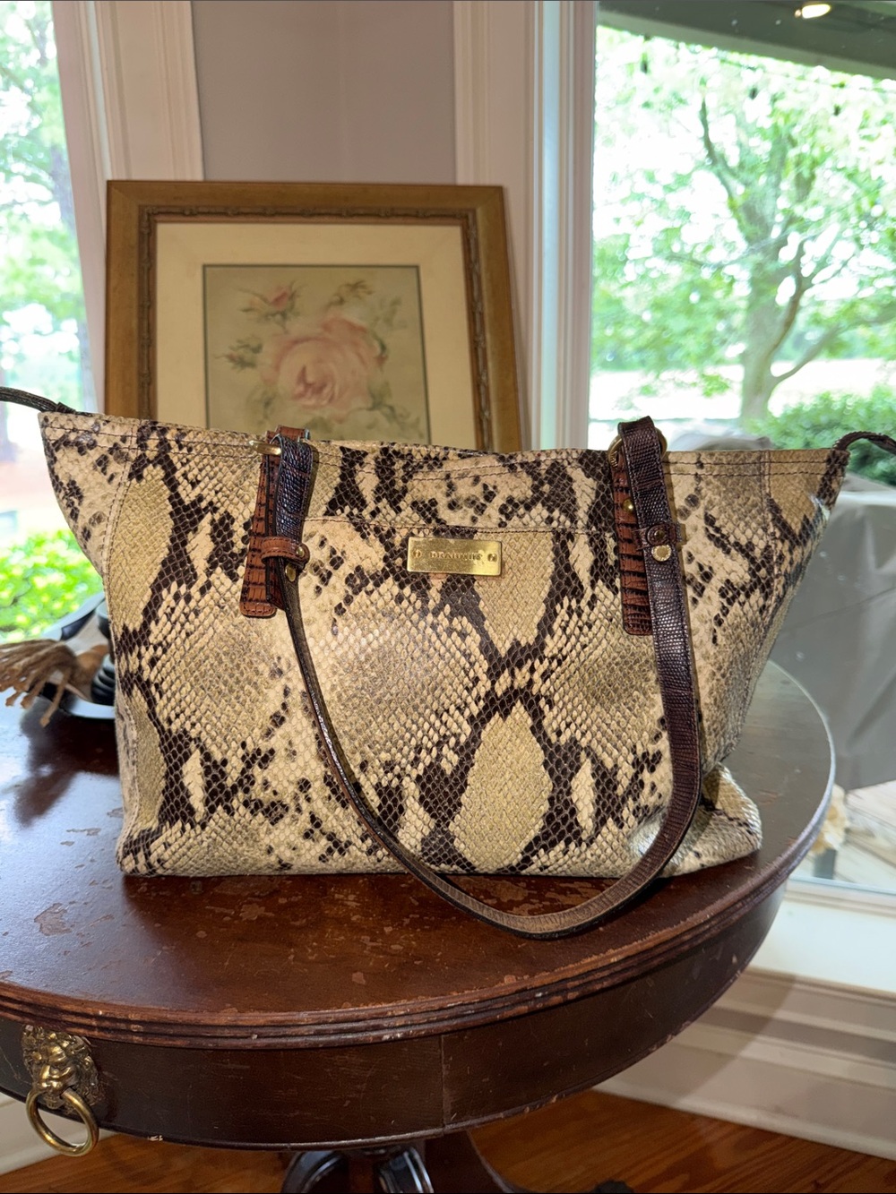 Brahmin Snake-Print Tote Bag with Brown Accents